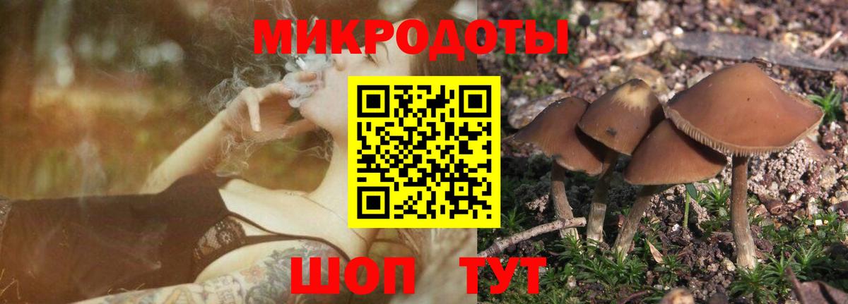 Галлюциногенные грибы прущие грибы Алексин