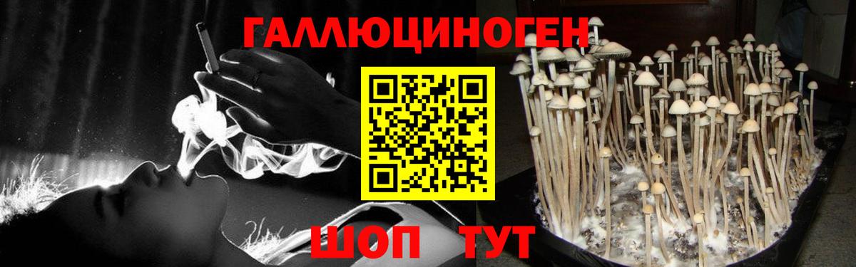 Алексин  Псилоцибиновые грибы Magic Shrooms  Вход с VPN 